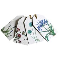 Growing Paper Blue In The Garden Tags 